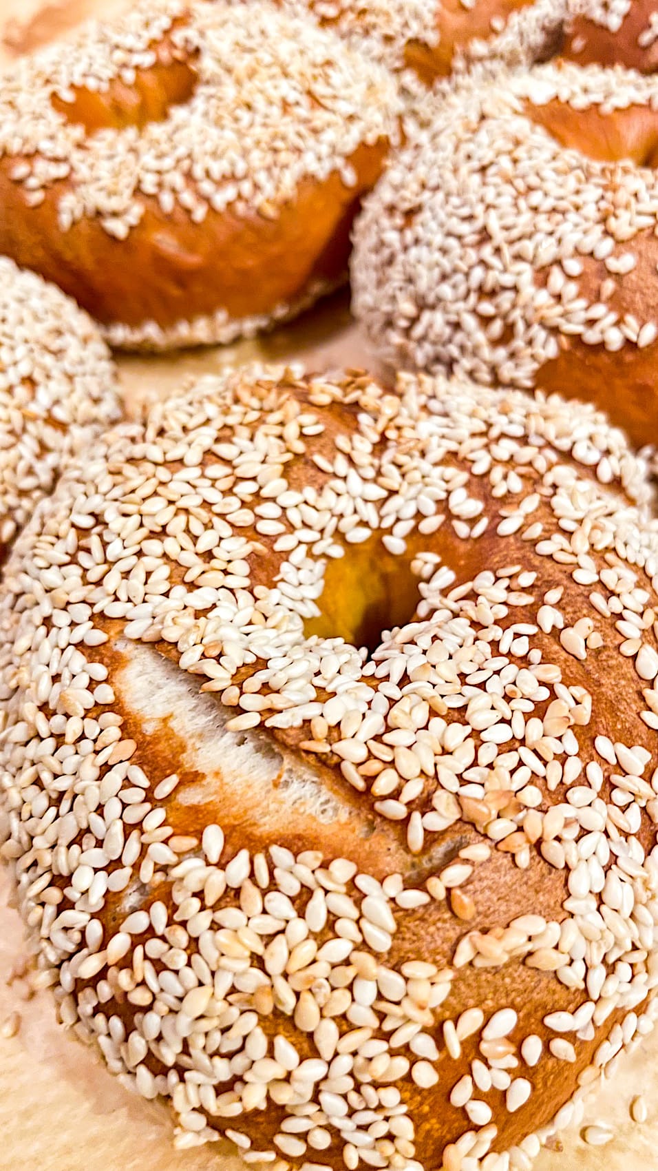 BAGEL